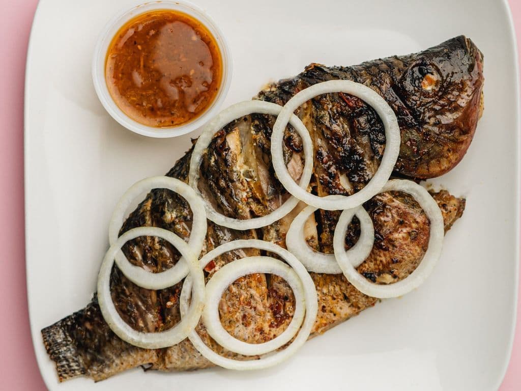 Tilapia