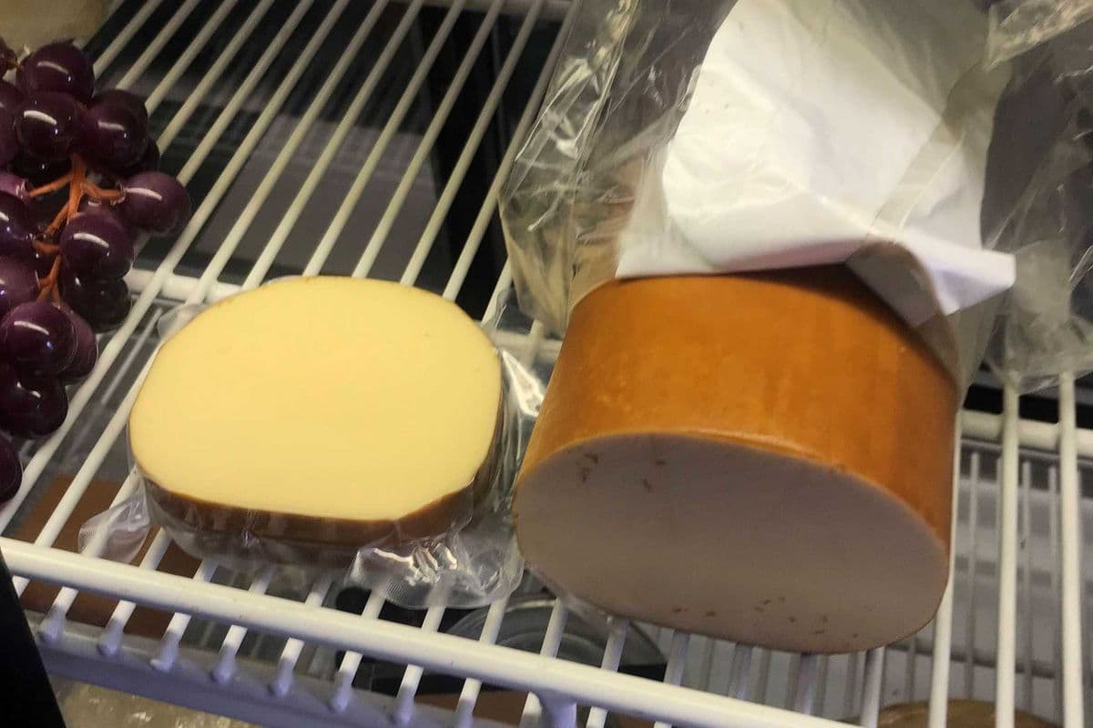Gouda Cheese