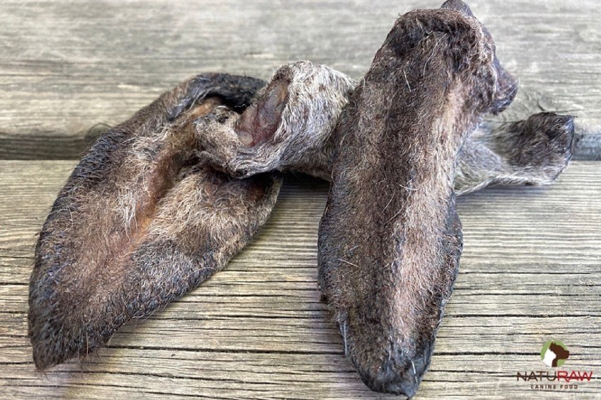 Dehydrated Lamb Ear (1 piece)