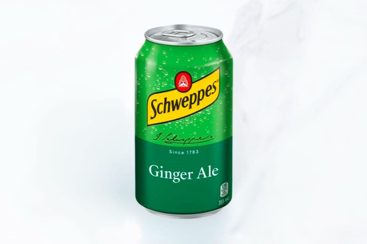 Can Ginger Ale 355ml