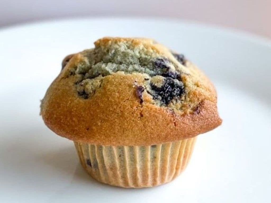 Blueberry Muffin