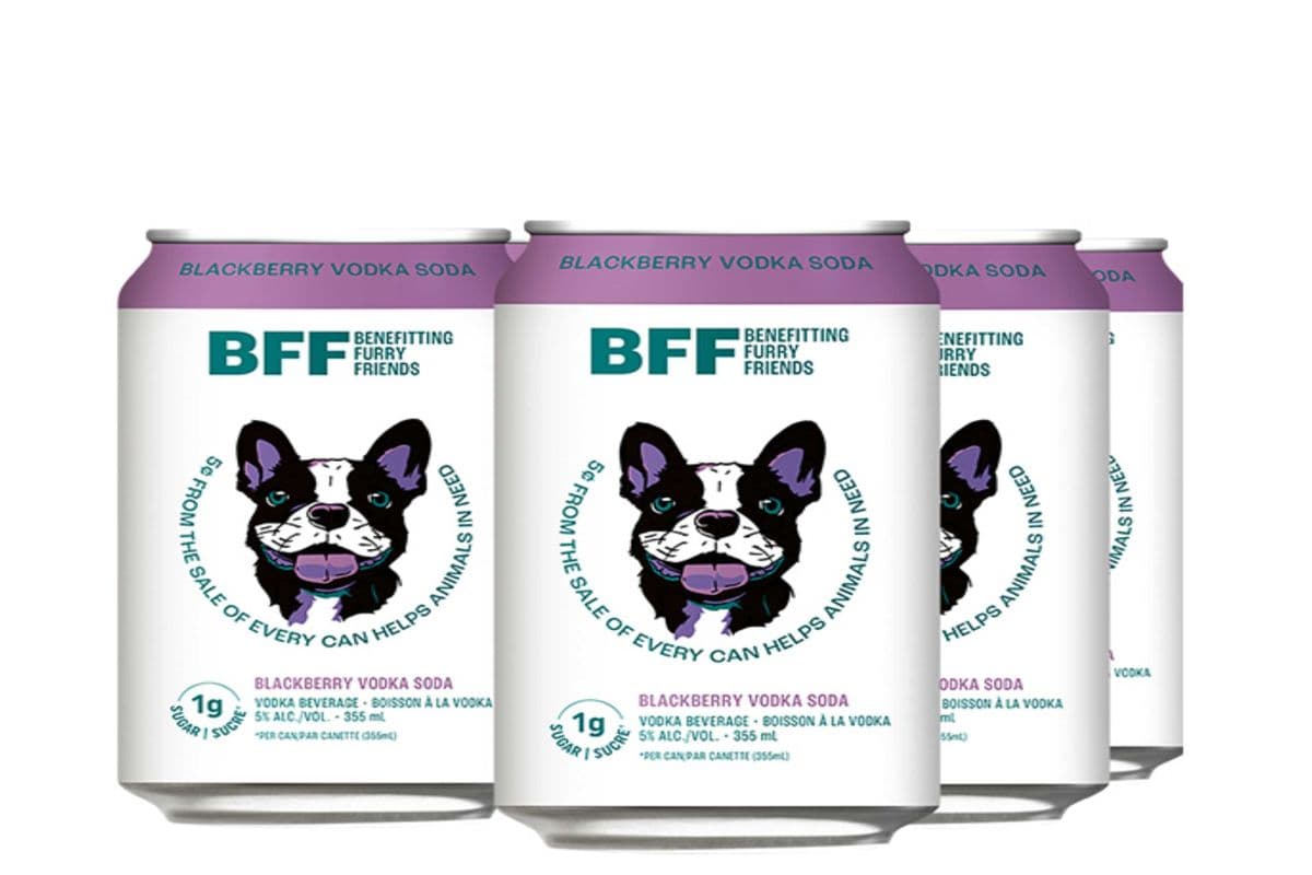BFF BLACKBERRY VODKA SODA (6 x 355 ML) (6 x 6*355ML )