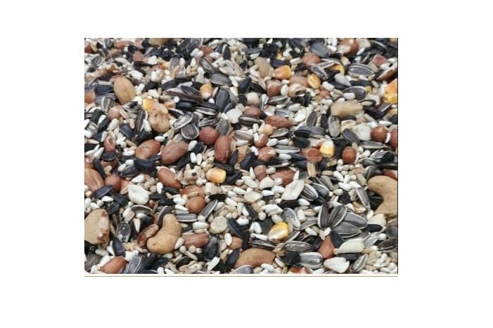 Baker's Parrot Seed (20 lb)