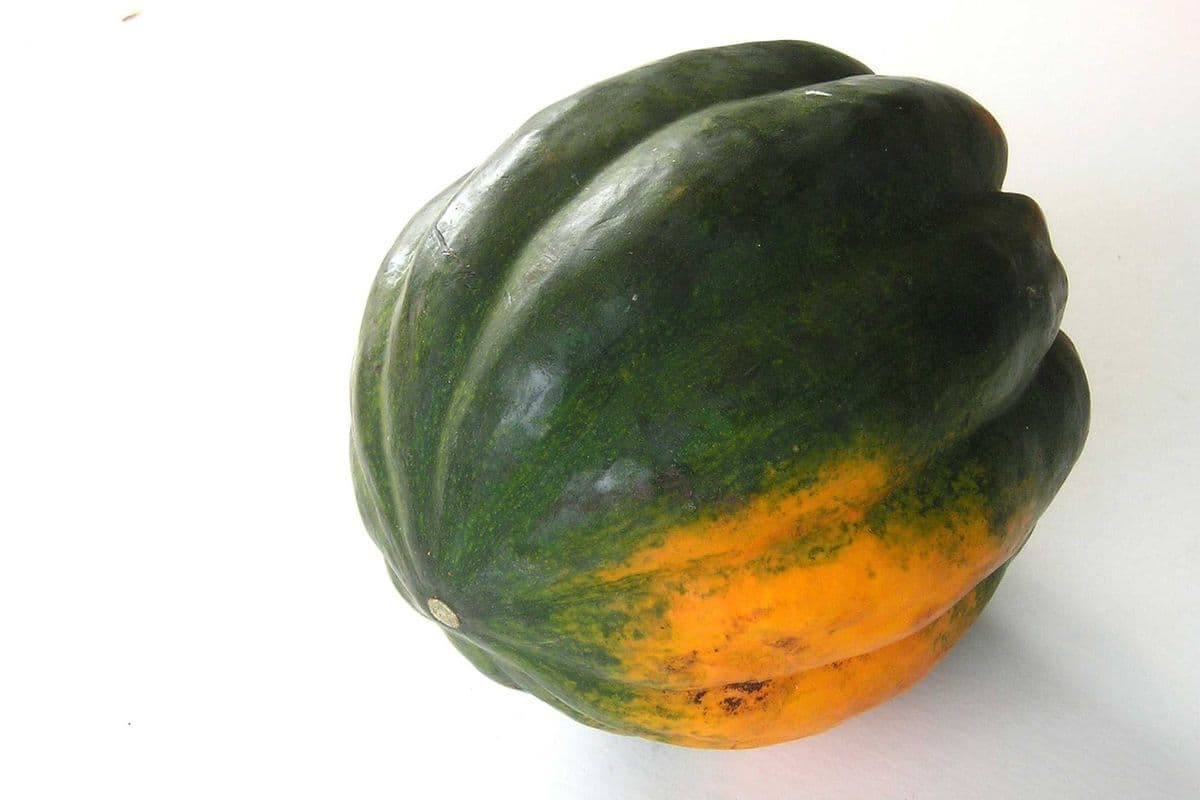 Squash Acorn (per lb)