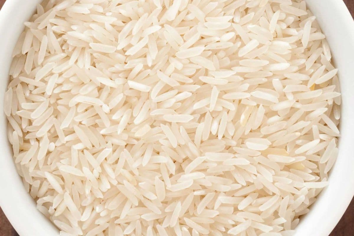 RICE 16OZ