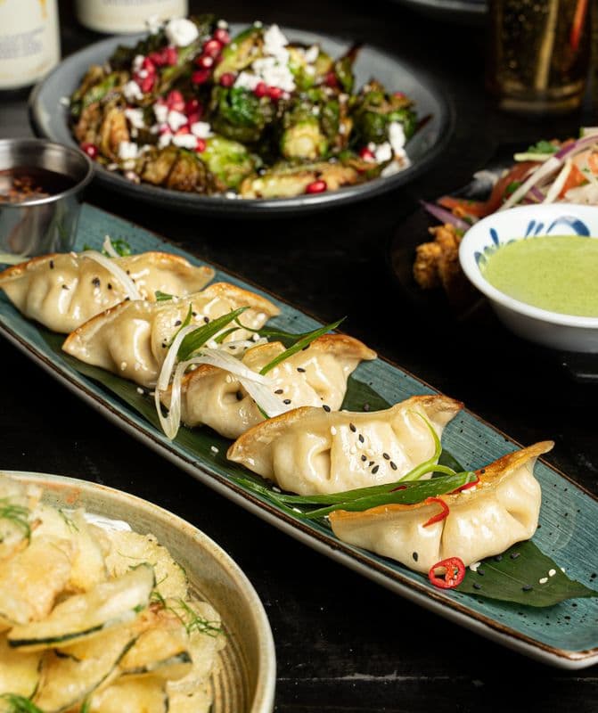 Gyoza