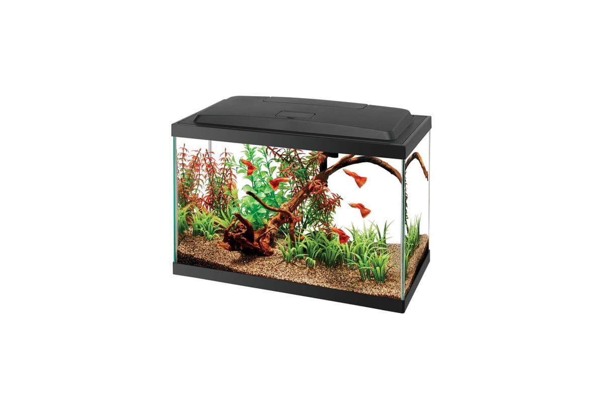 Aqueon Aquarium Starter Kit with LED (5.5 gal)