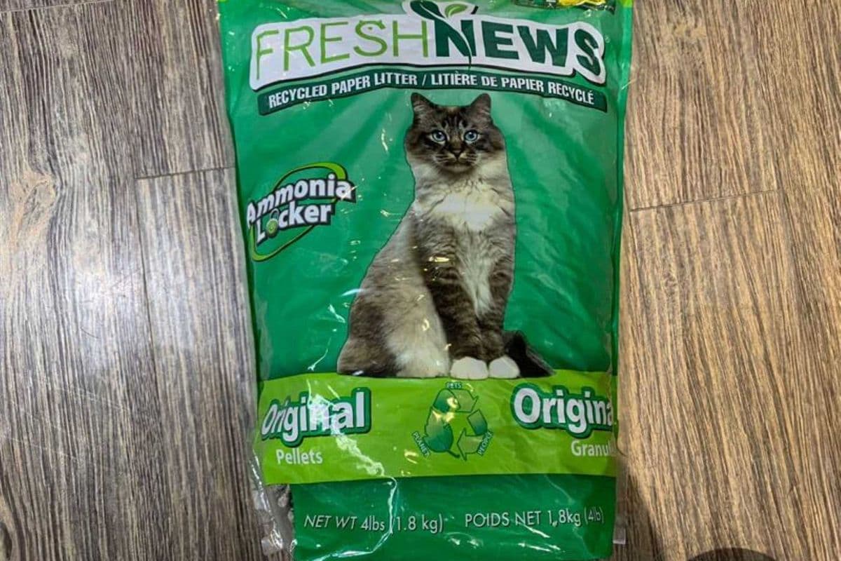 Fresh News | Original Litter | 4lb
