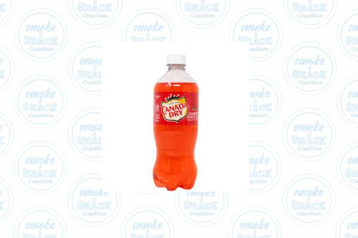 Canada Dry Ginger Ale Cranberry (591ml)