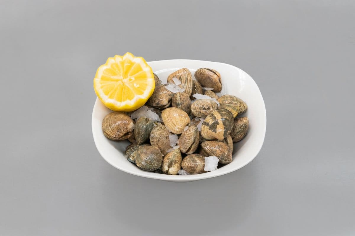 Live Manila Clams (2.5 lb)