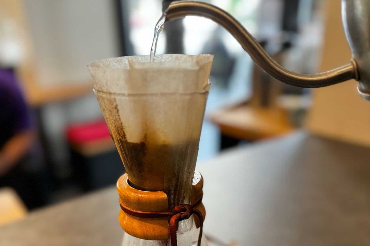 Chemex Sumatra Gayo (12 oz)