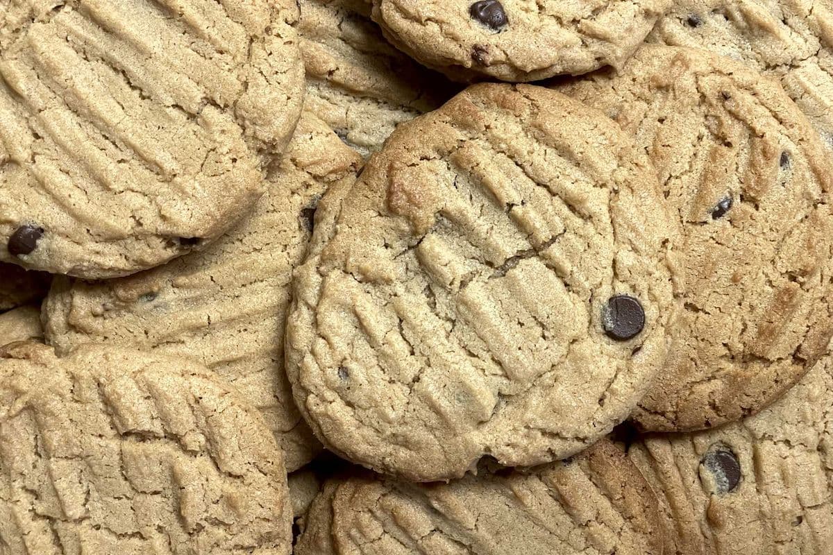 Peanut Butter Chocolate Chip | GF | V