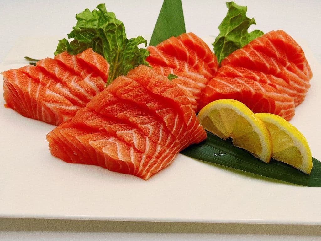 Salmon Boat(20)