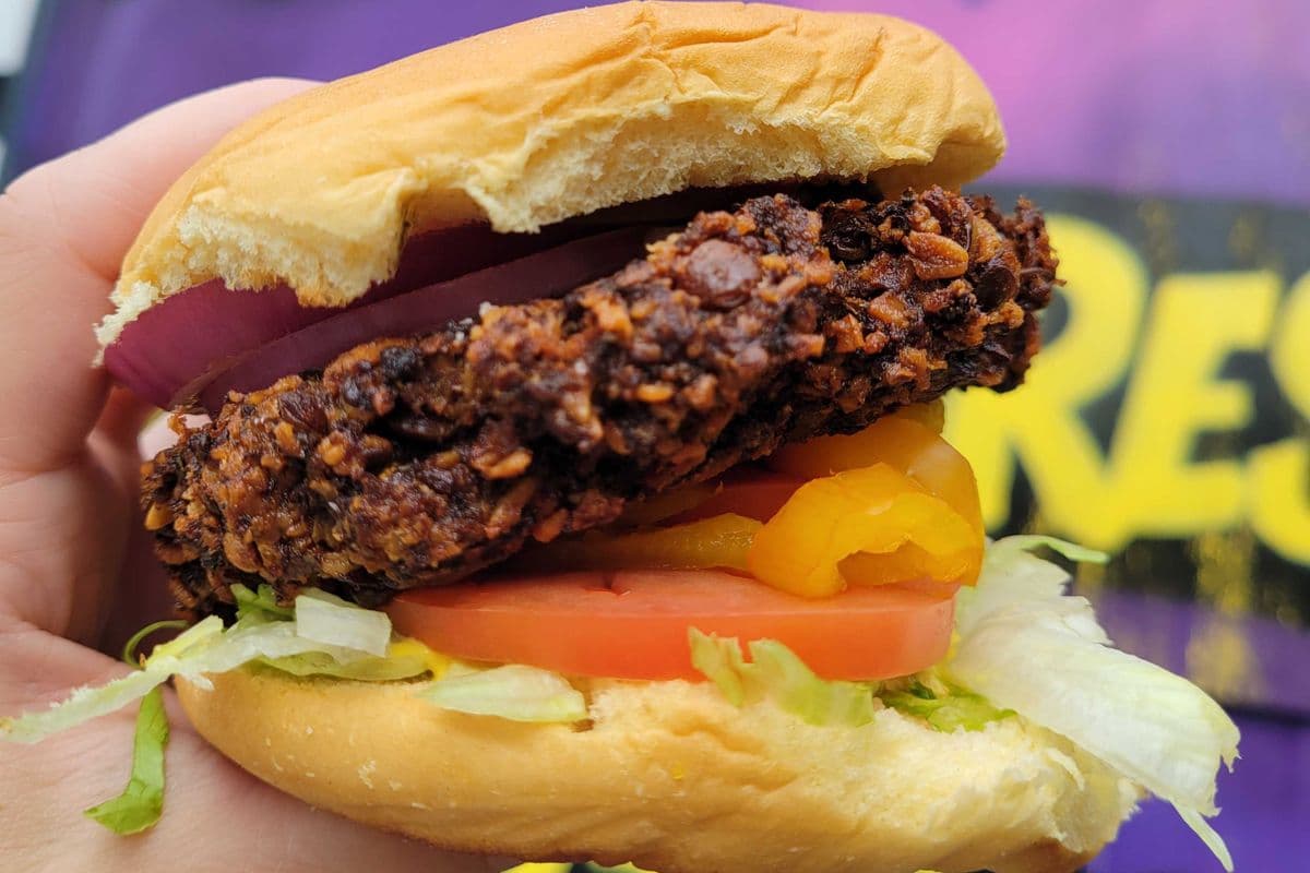 Veggie Burger and One Side