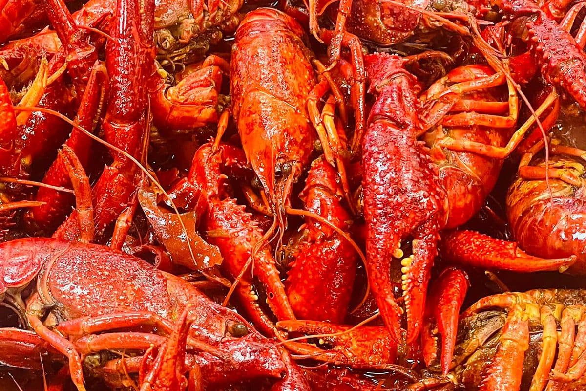 Spicy Crawfish - 麻辣小龍蝦