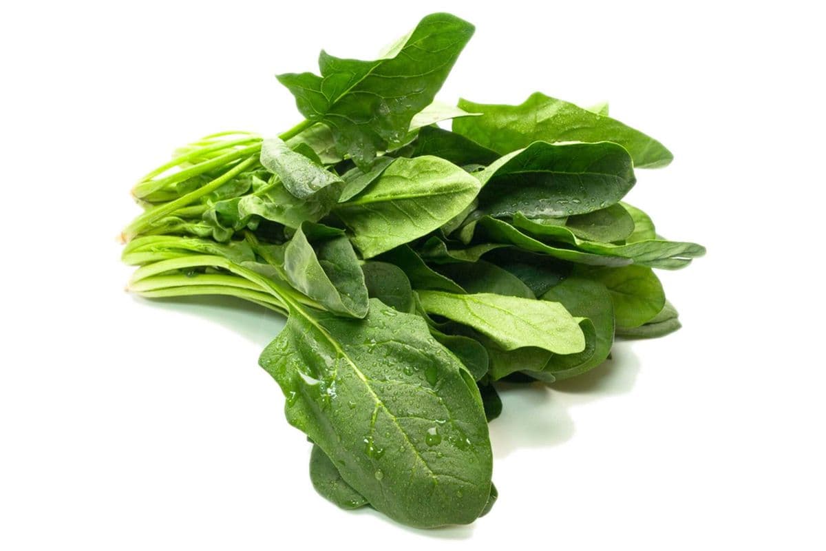 Spinach - clipped (Per bunch)