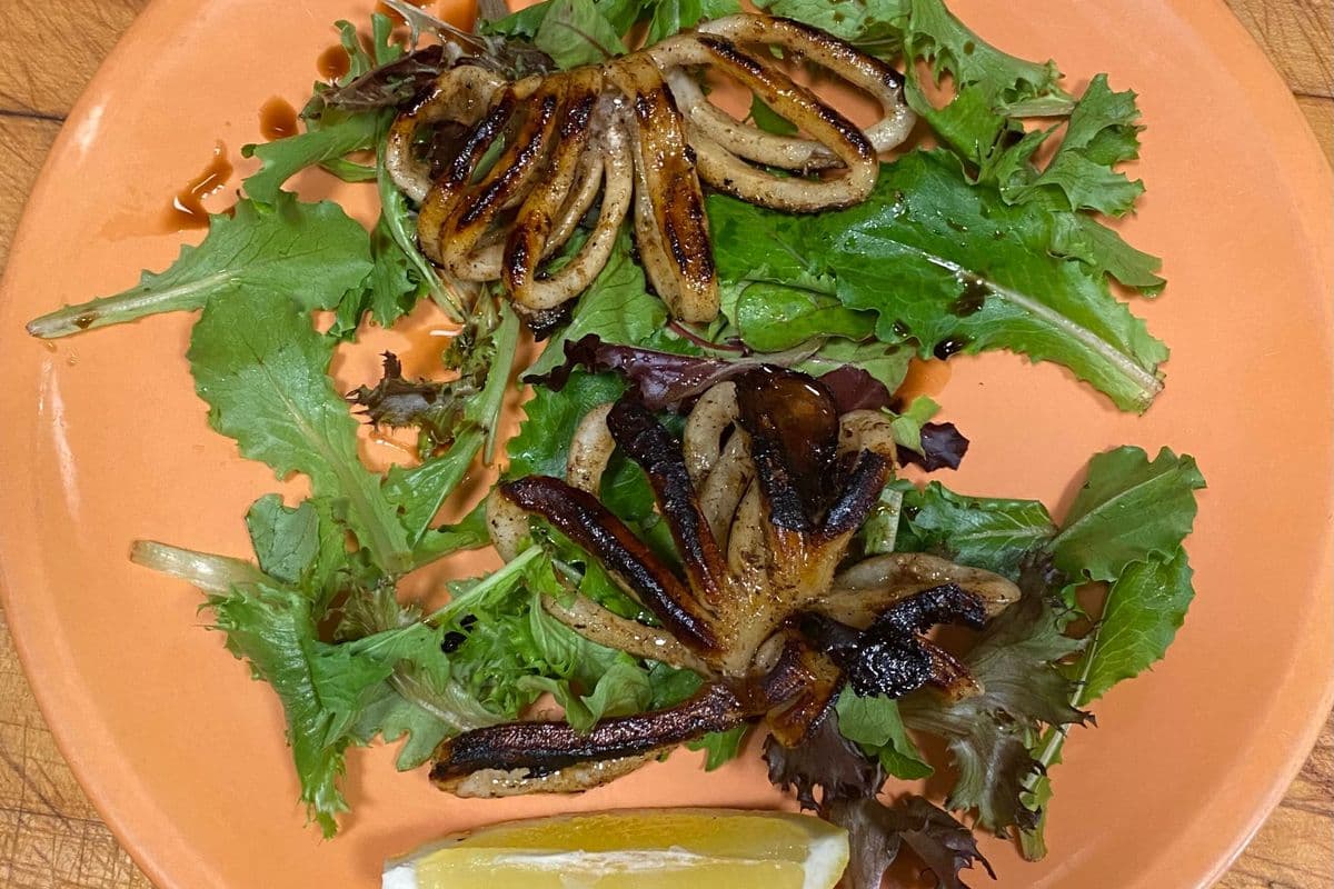Calamari Maria