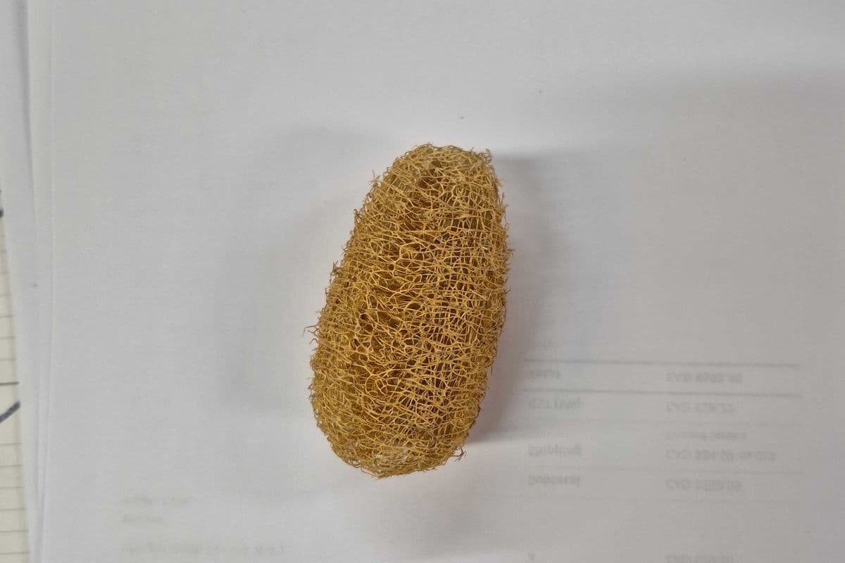 Raw Luffa Foot Toy (3 inches)