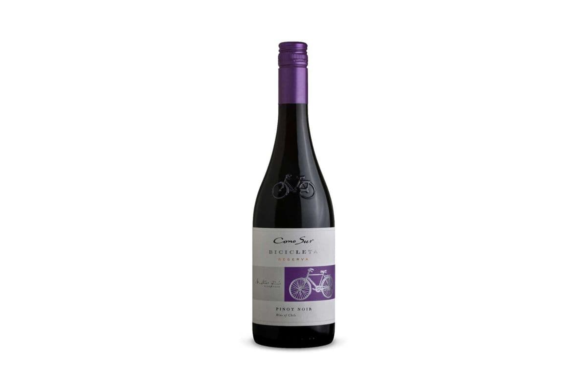 Cono Sur Organic Pinot Noir (chile) (1 x 750ml)