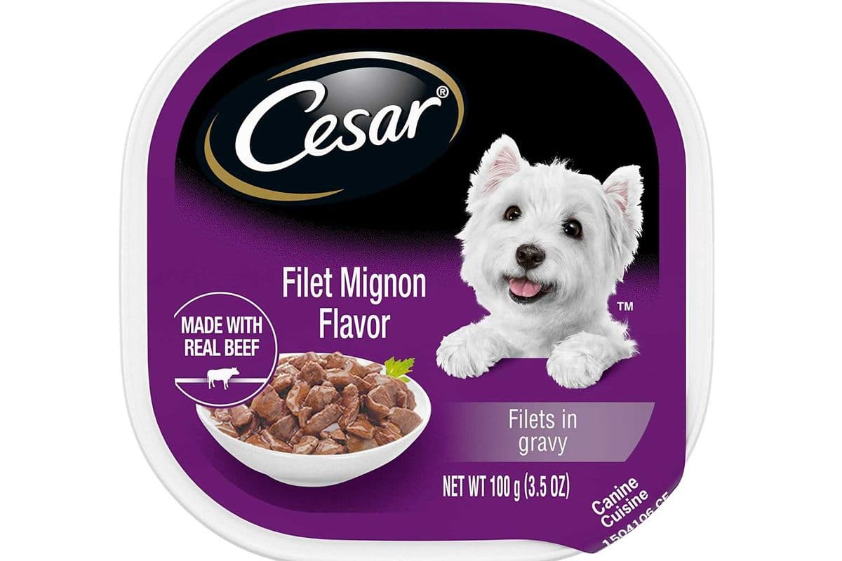 Cesar Filet Mignon Flavour (100g)