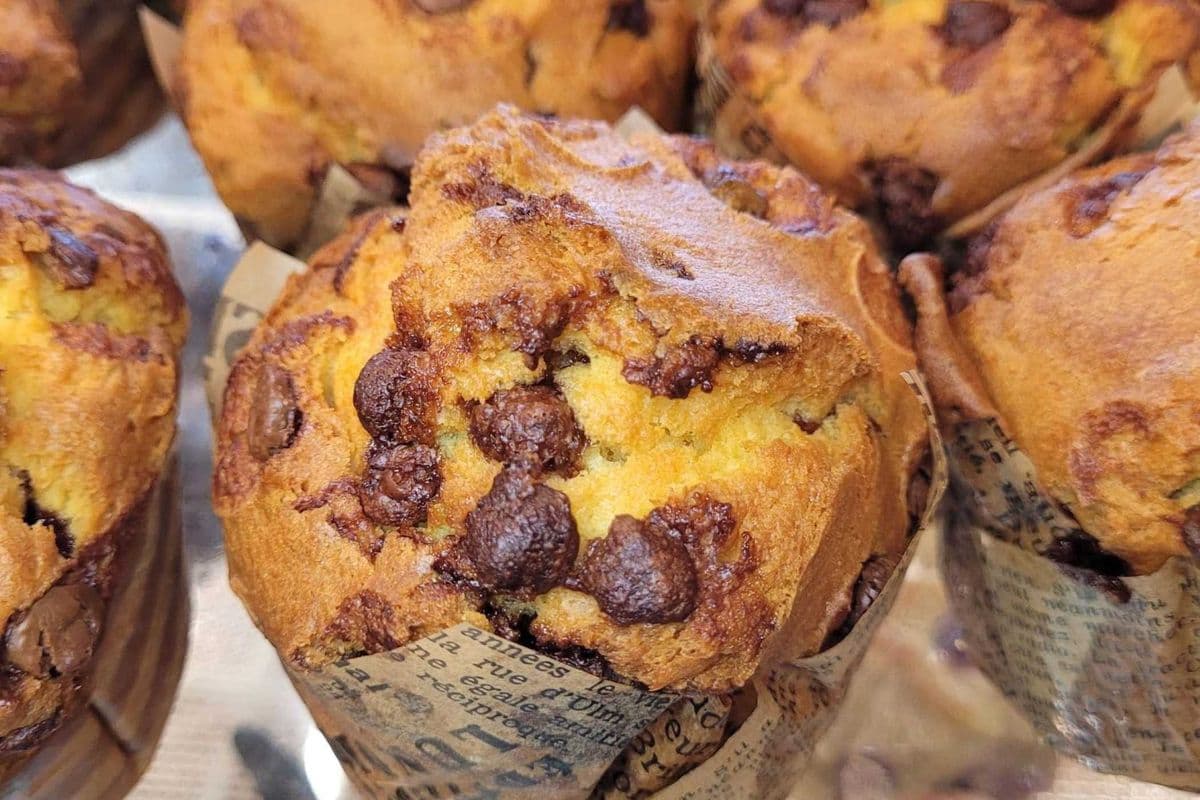 Chocolate chip Muffin