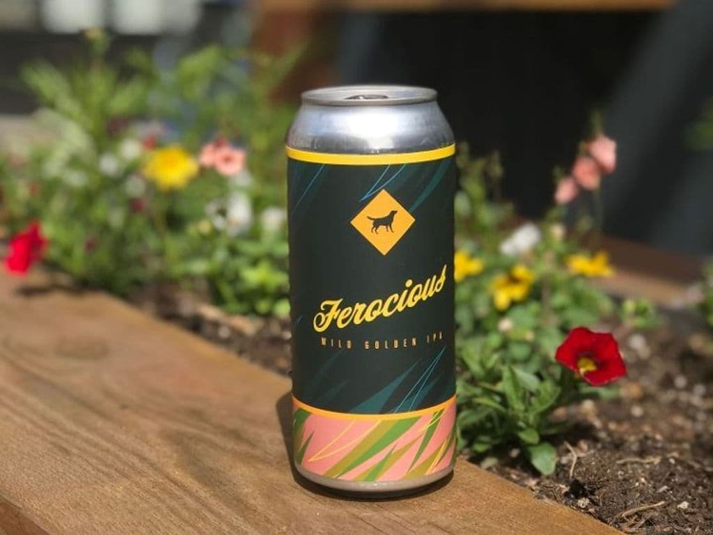 Feature I.P.A Tall Can (473ml)