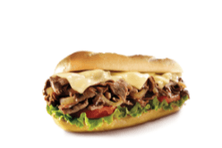 Chicken Shawarma Sub