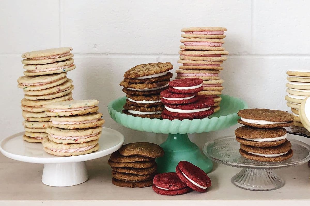 Assorted Sammy (6 Pack)