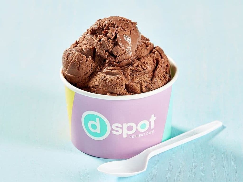 Chocolate Ice Cream SMALL