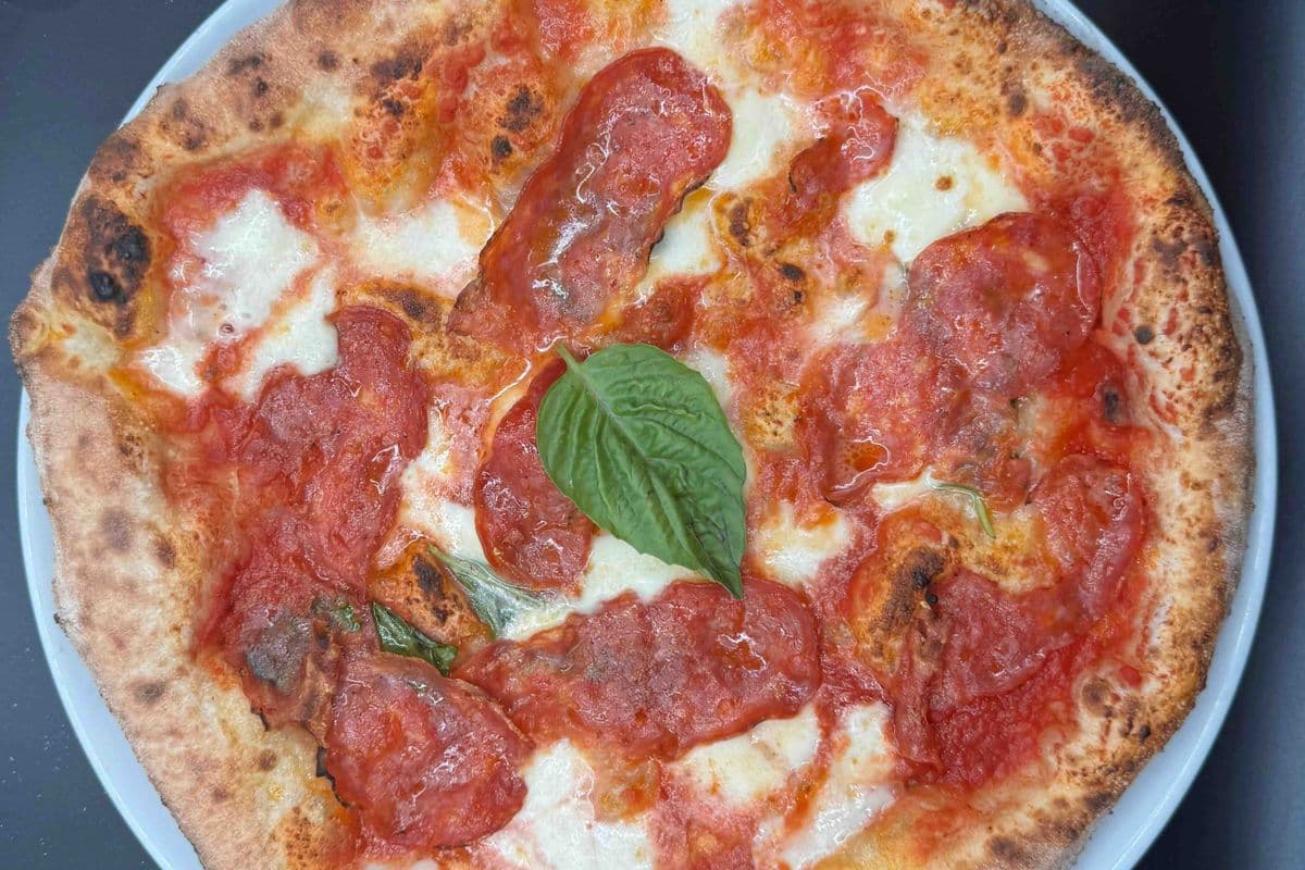 Traditrice Pizza