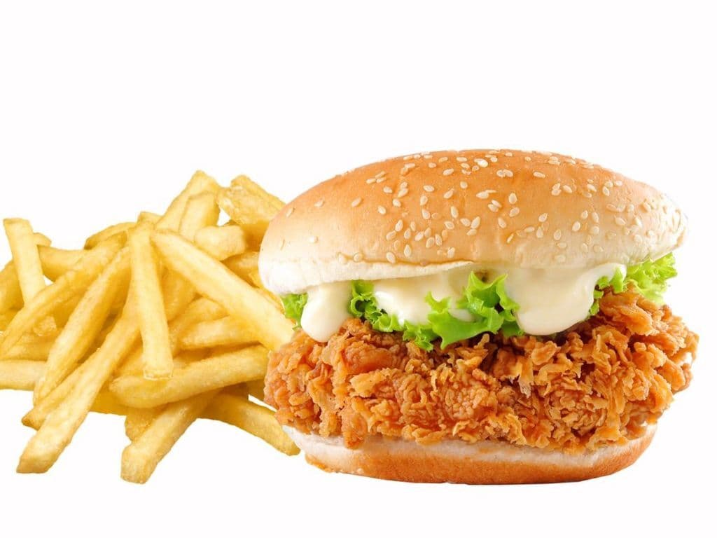 Chicken burger Combo