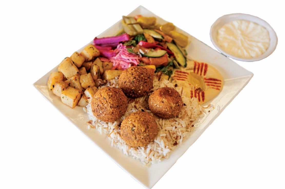 Special Two Falafel Plate