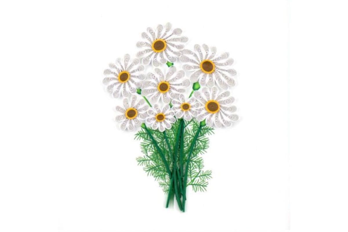 White Daisies Greeting Card BL1042