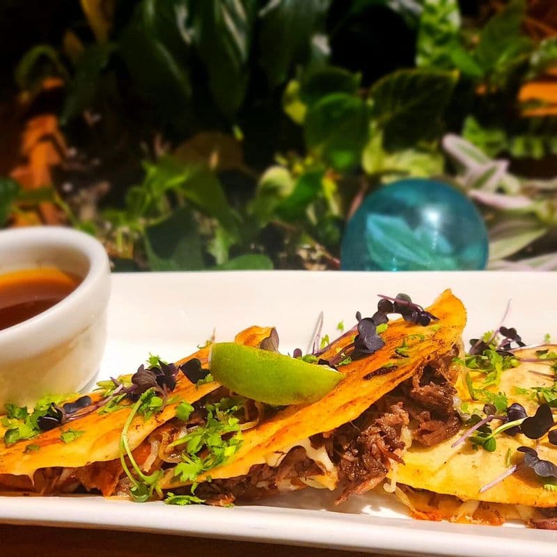 Oxtail Birria / Birria de queue de bœuf