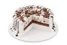 Gâteau Blizzard® 10" TURTLES® avec pacanes /10" TURTLES® with Pecans Blizzard® Cake