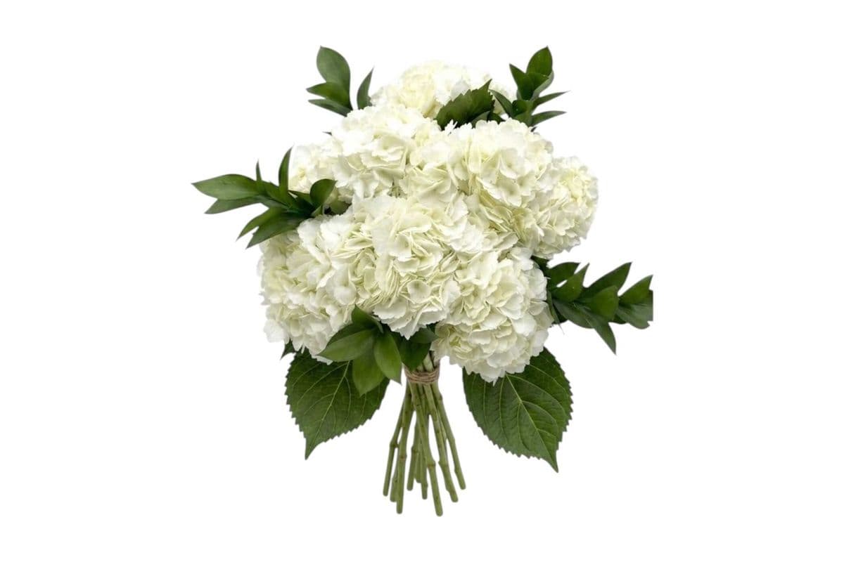 White Hydrangea Bouquet (6 Stems) - Large