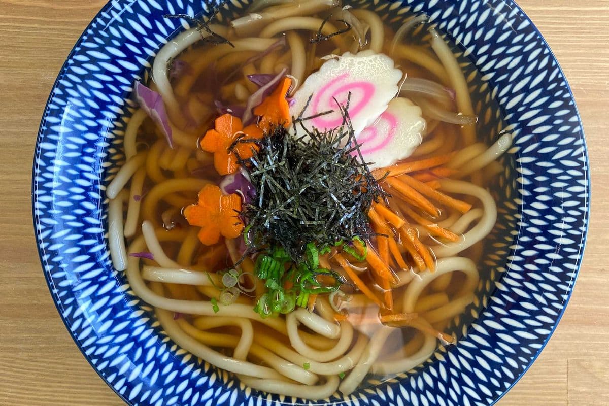 Veggie Udon