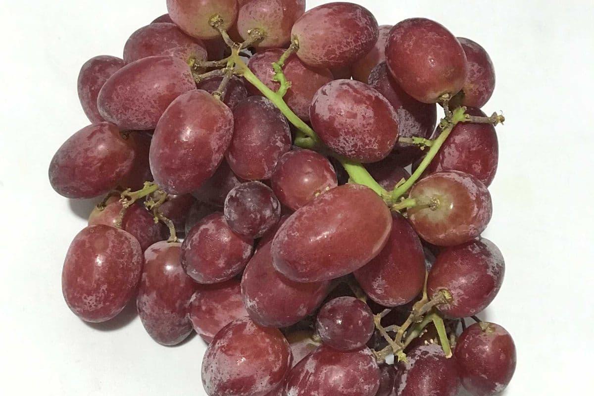 Red Grapes (bag, 1lb)
