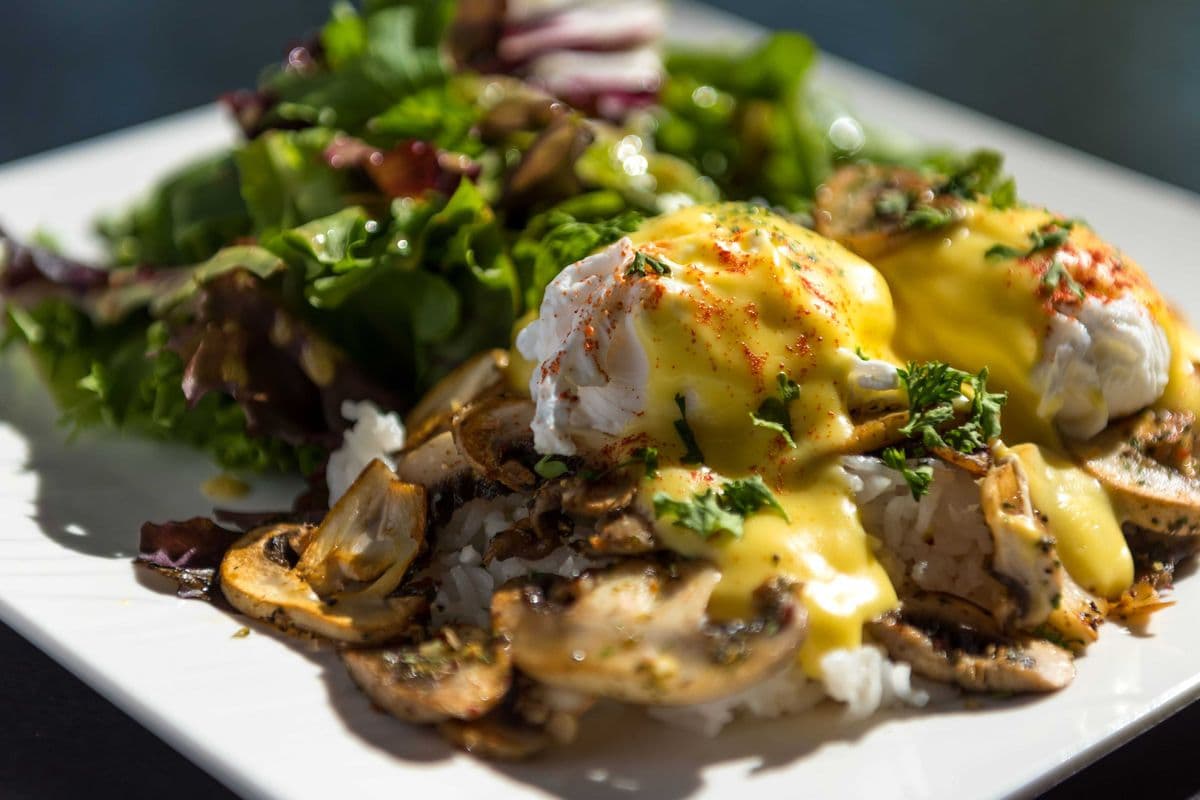 Mushroom Benedict (VT)