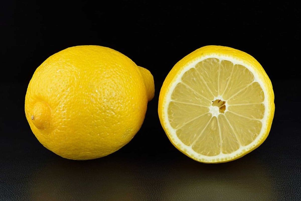 Fresh Lemon (1 ct)