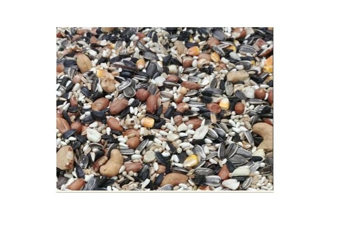 Baker's Parrot Seed (10 lb)