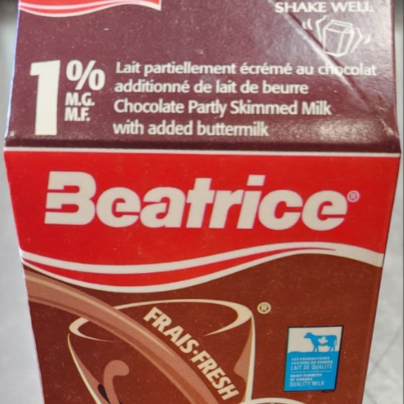 Chocolate Milk (473ml)