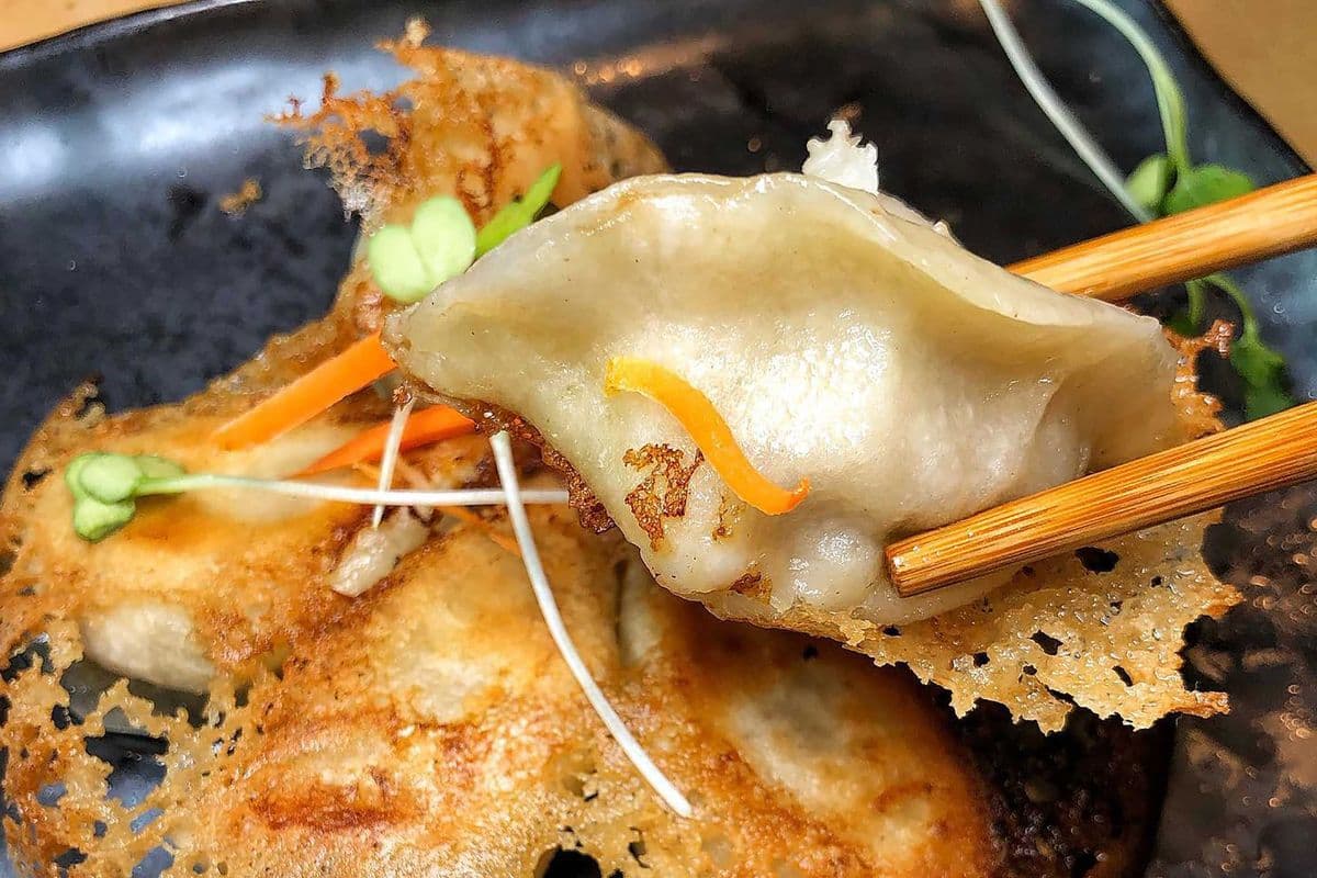 B1. Pork and Cabbage Pot Sticker (6 pcs)