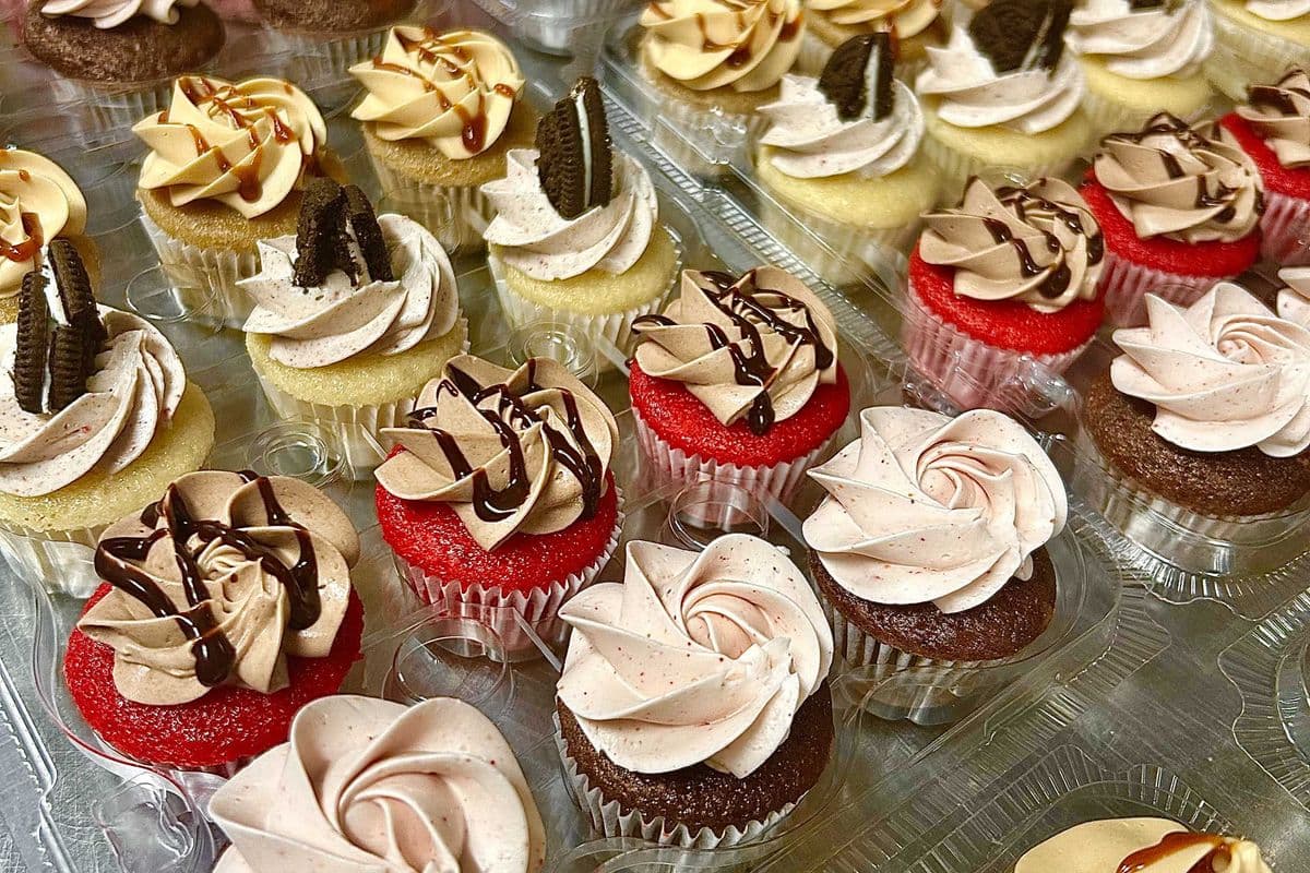 Assorted Mini Cupcake 12-Pack