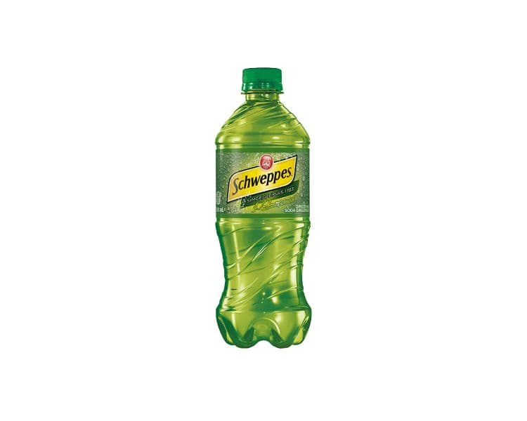 Ginger Ale (591ml)