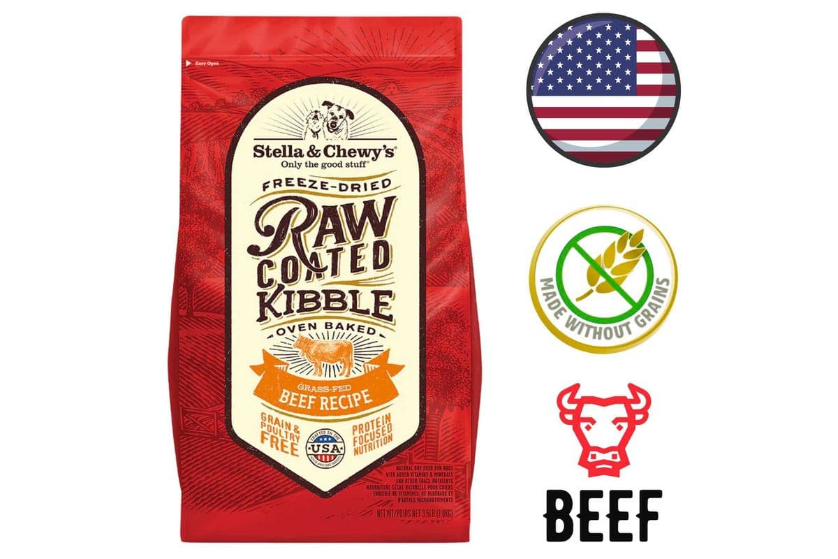 Stella & Chewy's - Grain Free Beef Raw Coated Kibble Dry Dog Food - 3.5 lb