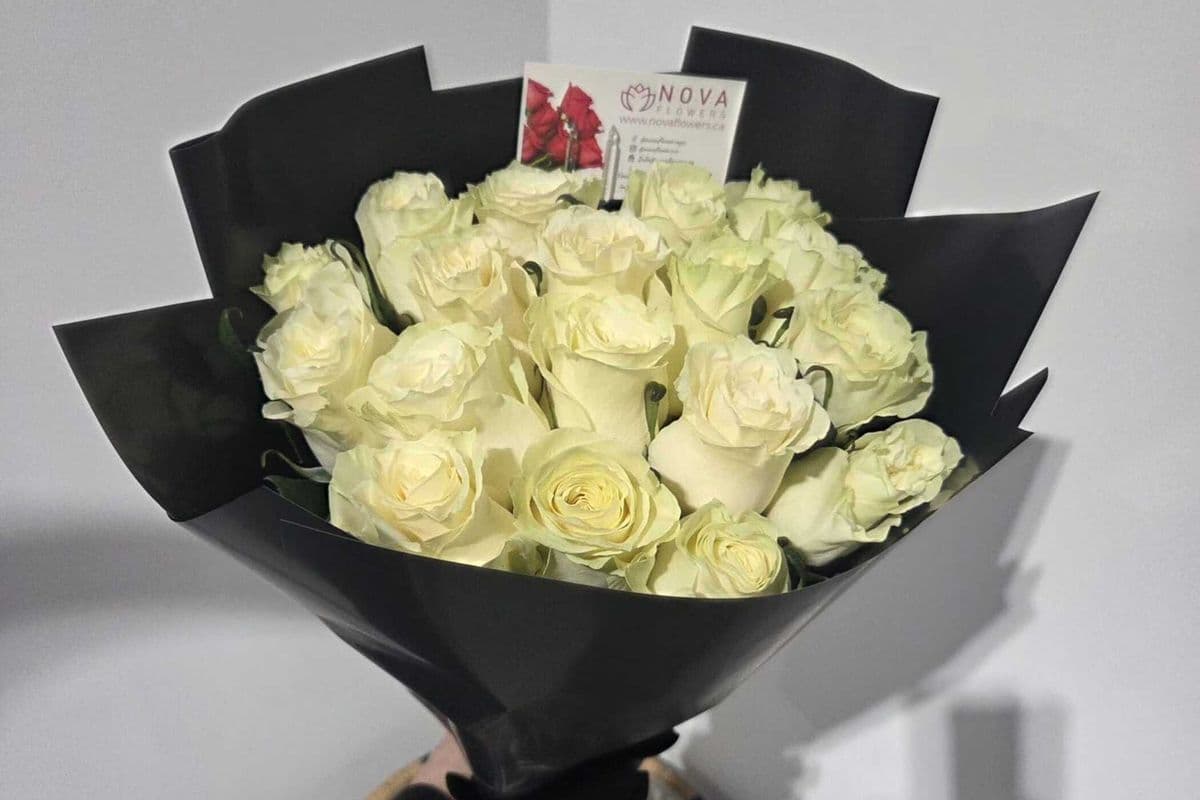 18 White Roses – Elegant Same-Day Delivery