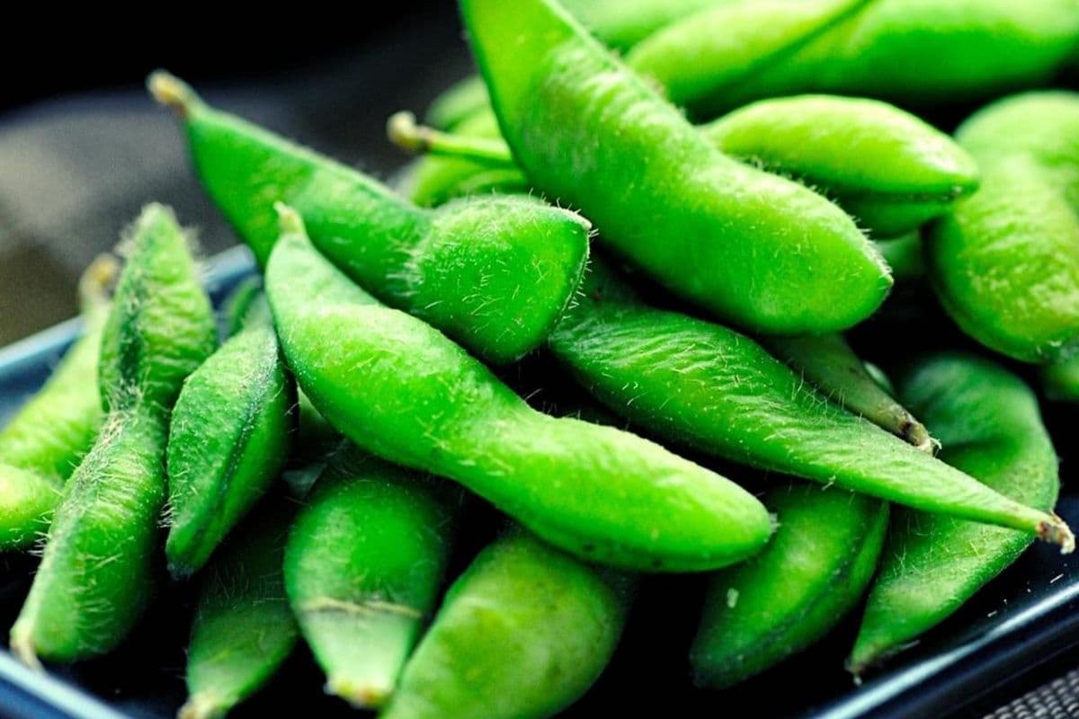 Edamame / Dau Nanh Lac Muoi