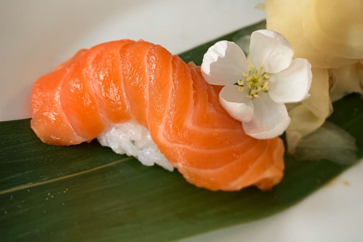 Syake Salmon Nigiri