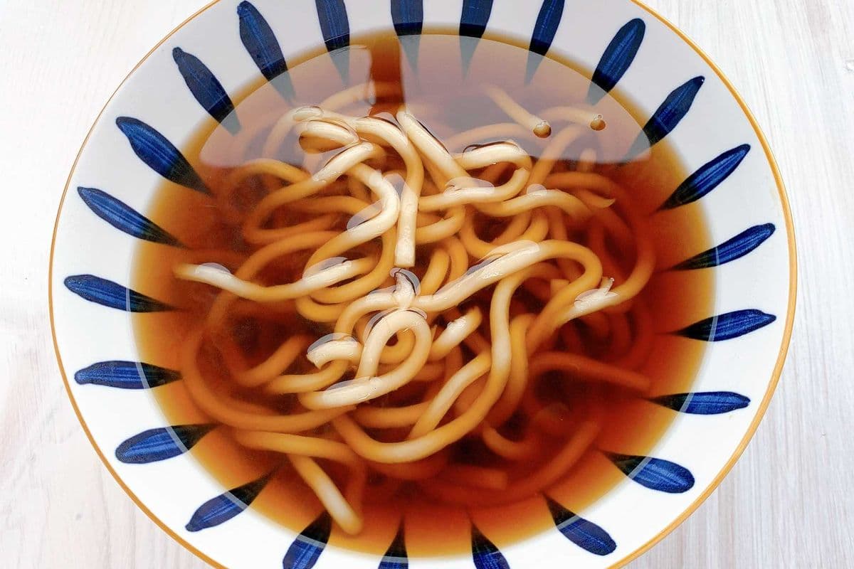 Plain Udon Soup